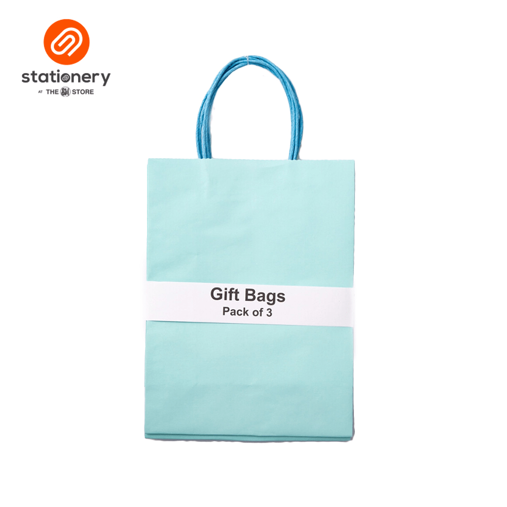 Plain Gift Bag 120 gsm Pack of 3 - Medium (8 1/4x4x11")-2