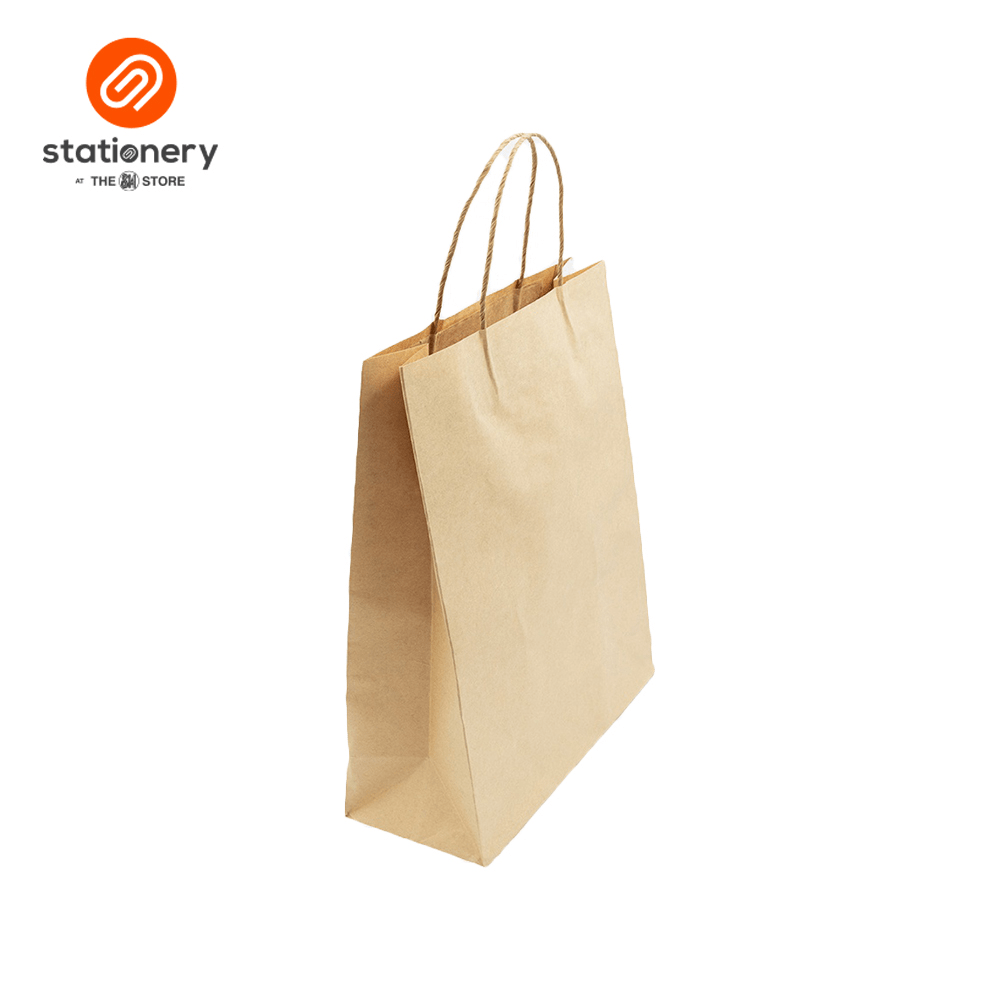 Kraft Bag 100gsm Pack of 6's - Large-zoom-3