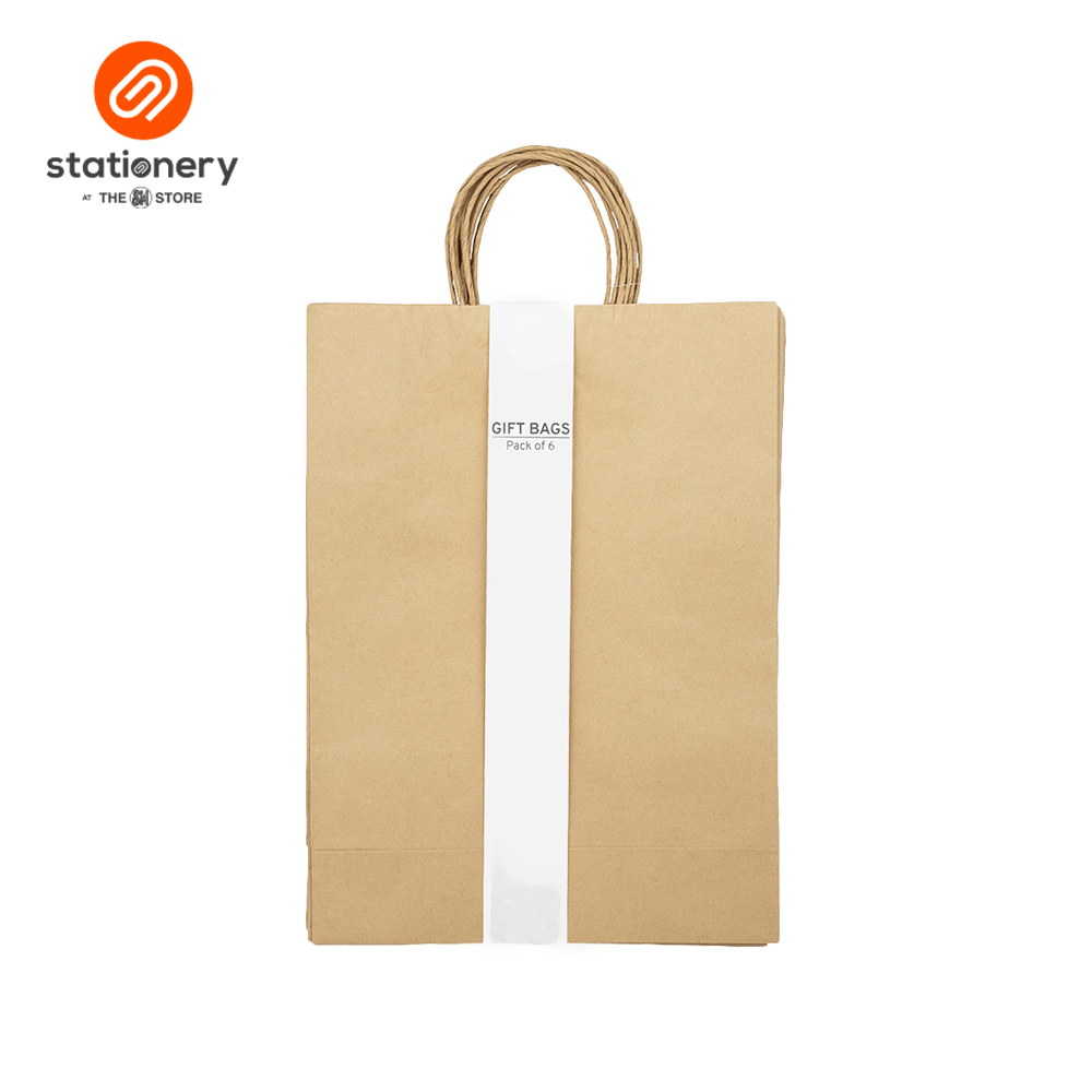 Kraft Bag 100gsm Pack of 6's Large