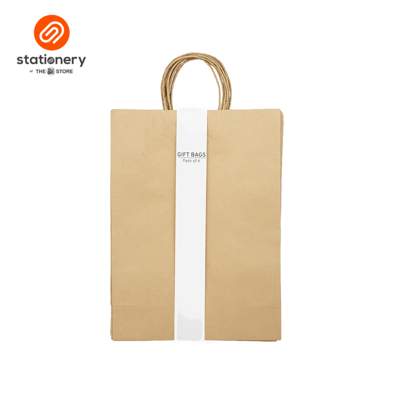 Kraft Bag 100gsm Pack of 6's - Large-zoom-
