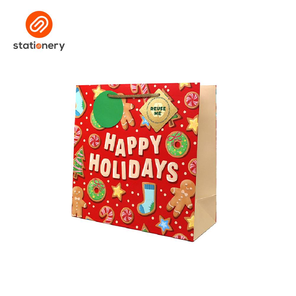 Hallmark Christmas Gift Bag - Medium (24x10x24cm)