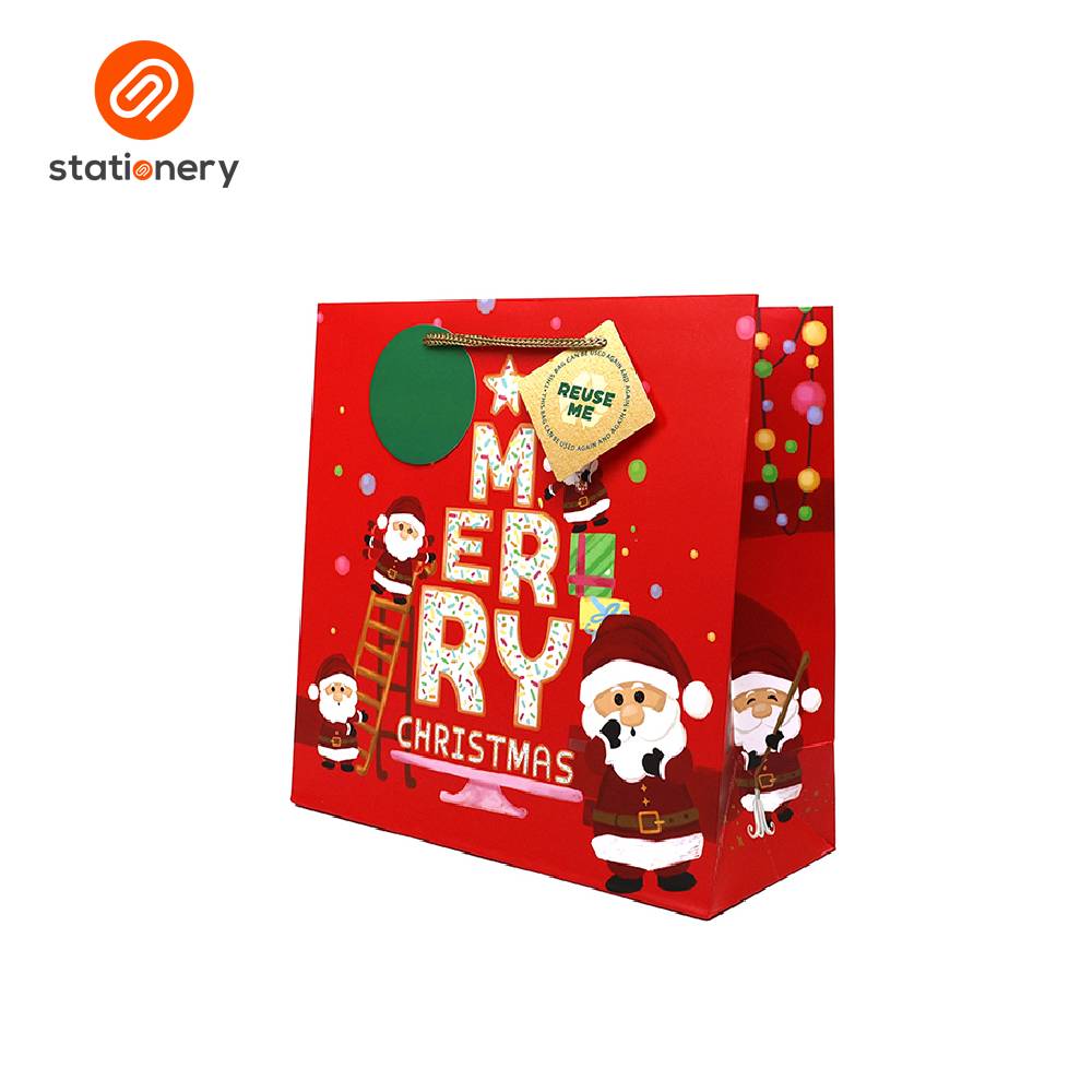 Hallmark Christmas Gift Bag - Medium (24x10x24cm)