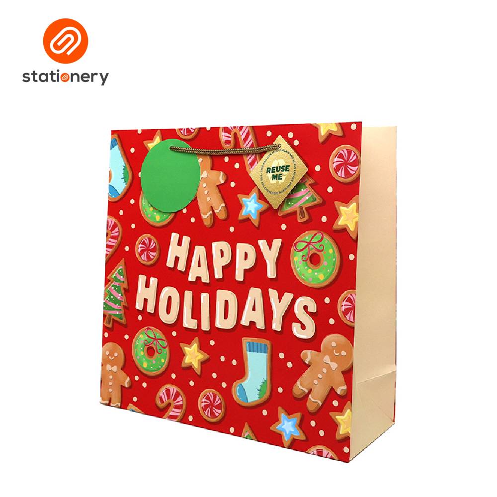 Hallmark Christmas Gift Bag - Large (30x11x30cm)