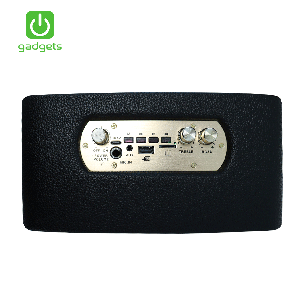 Gadgets Portable Karaoke with 2 Wireless Microphone-8