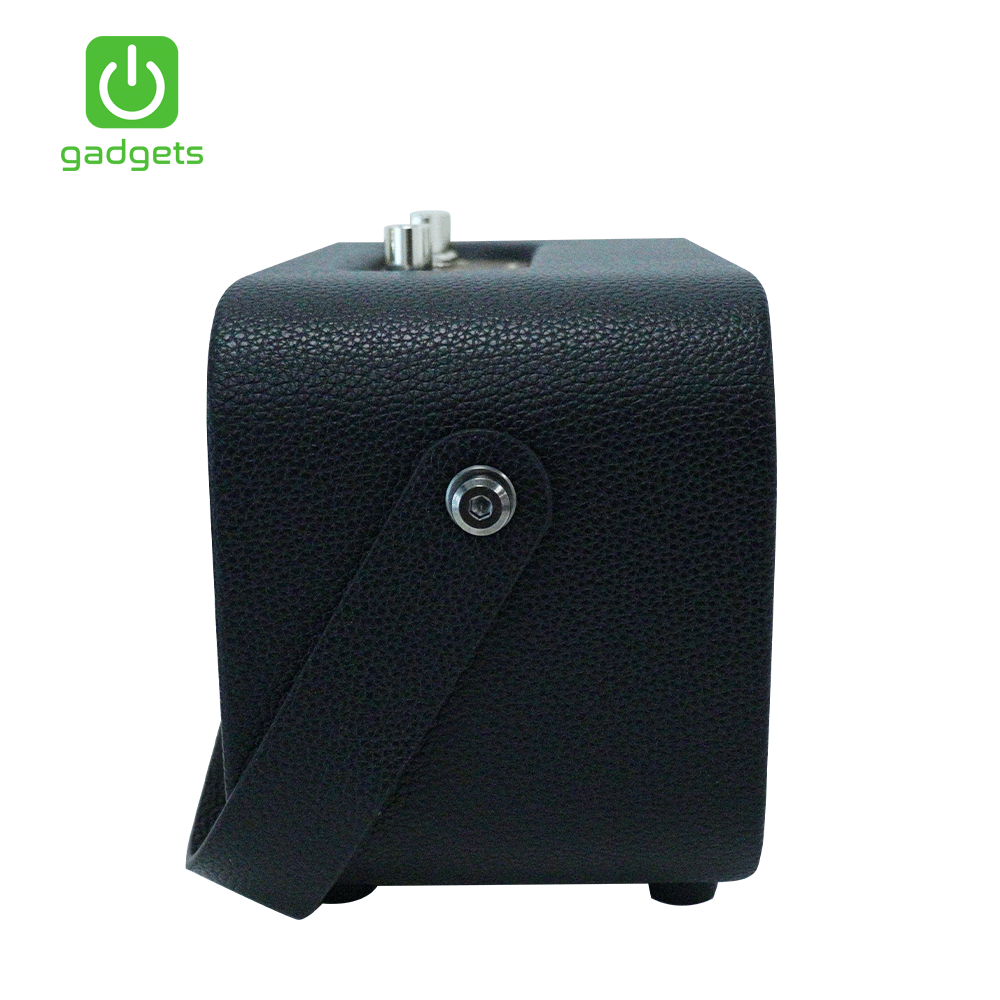Gadgets Portable Karaoke with 2 Wireless Microphone-10