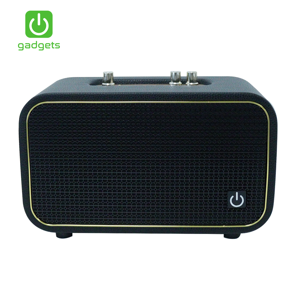 Gadgets Portable Karaoke with 2 Wireless Microphone-7