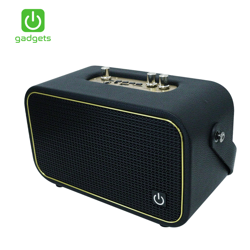 Gadgets Portable Karaoke with 2 Wireless Microphone-zoom-