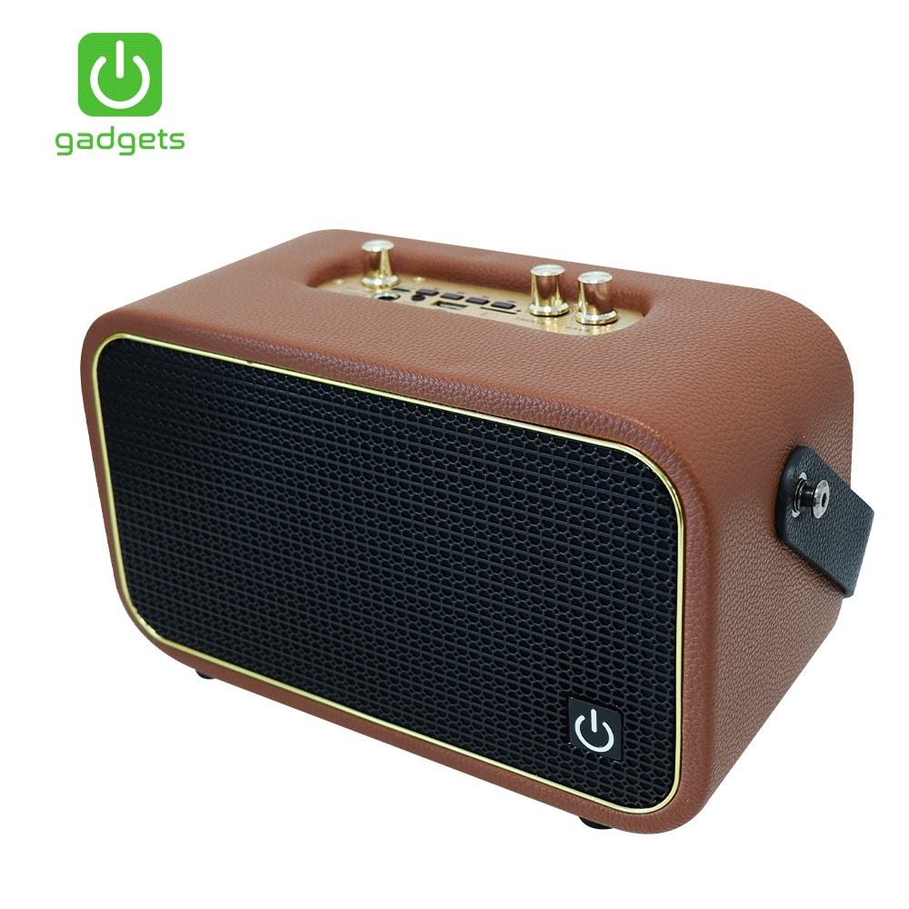 Gadgets Portable Karaoke with 2 Wireless Microphone