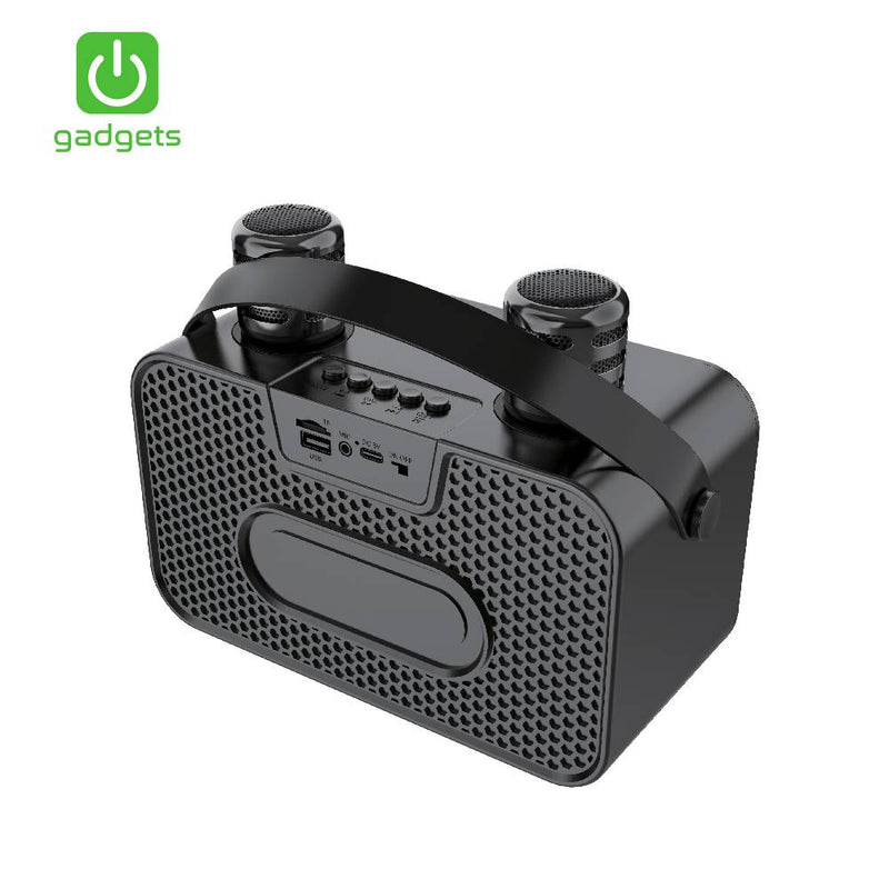 Gadgets Mini Portable Karaoke with 2 Mic-zoom-
