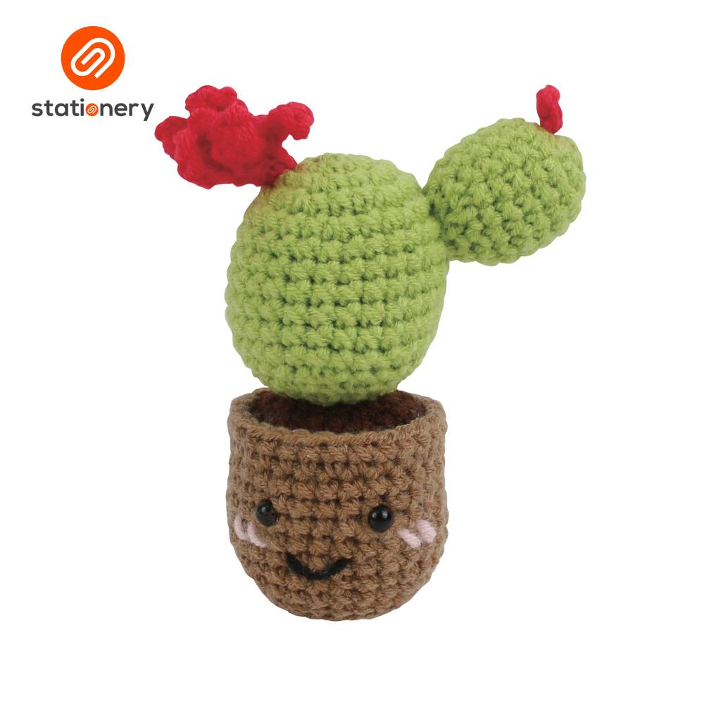 Succulents Crochet Fun Craft Kit - Bubbly Cactus