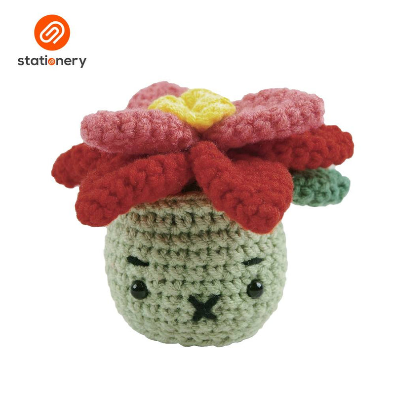 Succulents Crochet Fun Craft Kit - Bubbly Cactus-zoom-
