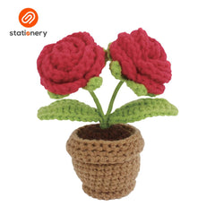 SSP-10099604:10099604_Flower_Pots_Crochet_Kit_INTERMEDIATE_LEVEL_Red_Roses.jpg
