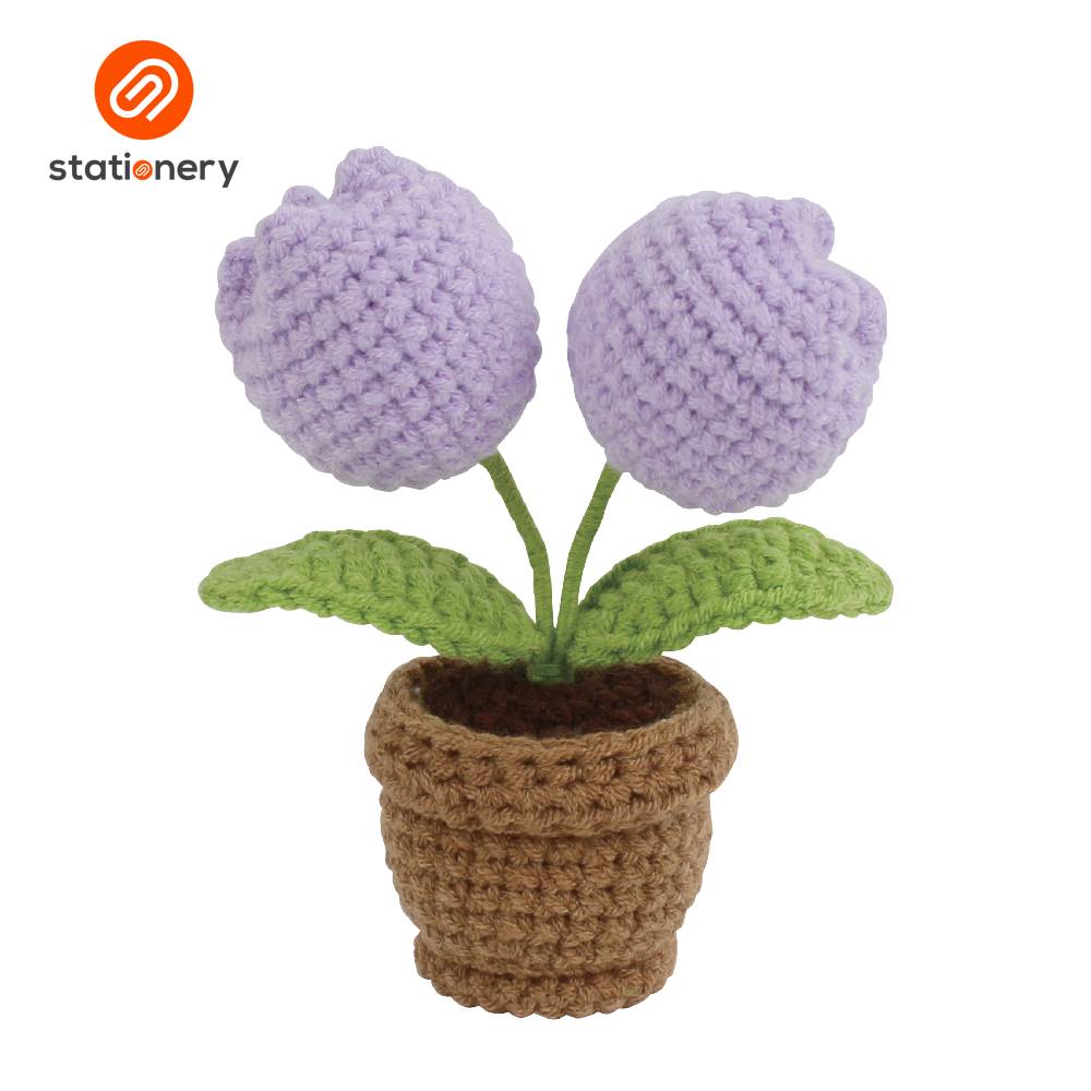 Flower Pots Crochet Fun Craft Kit  Intermediate Level
