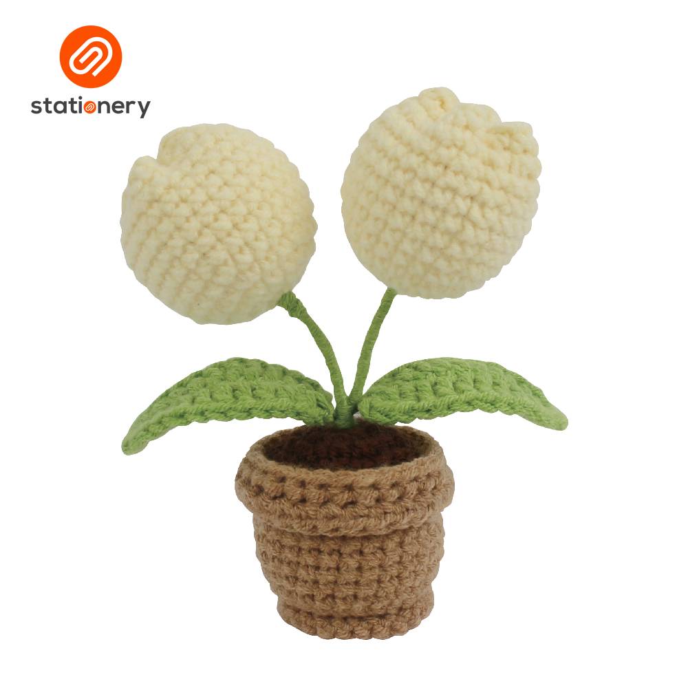 Flower Pots Crochet Fun Craft Kit  Intermediate Level-11