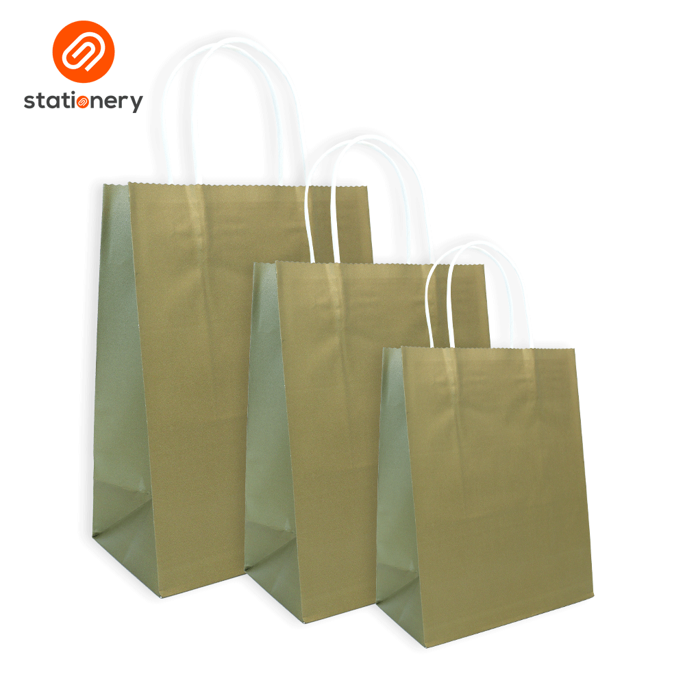 Bleached Kraft Bag Pack of 10 - 15x8x21cm (Small)-3