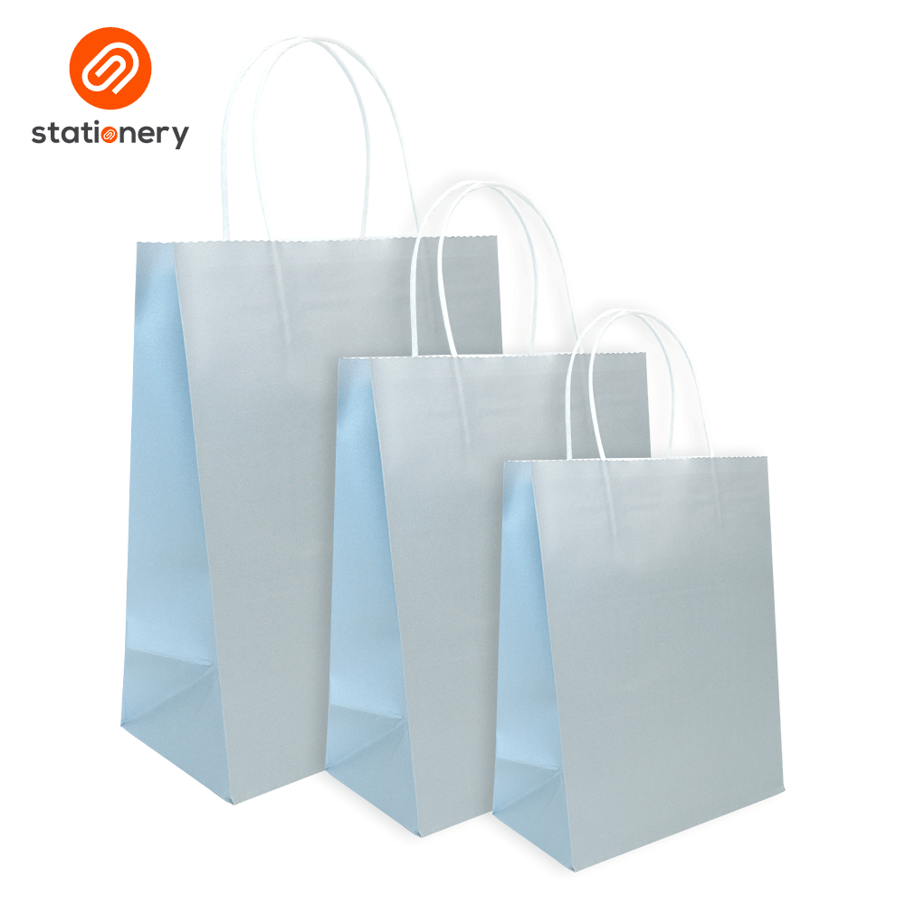 Bleached Kraft Bag Pack of 10 - 21x11x27cm (Medium)-4