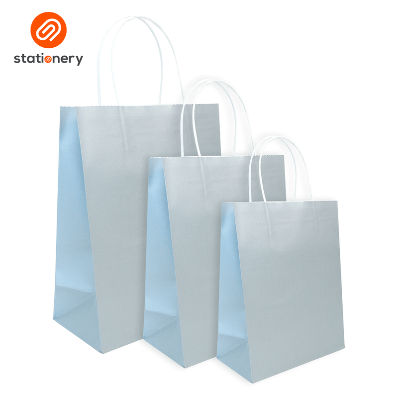 Bleached Kraft Bag Pack of 10 - 21x11x27cm (Medium)-zoom-