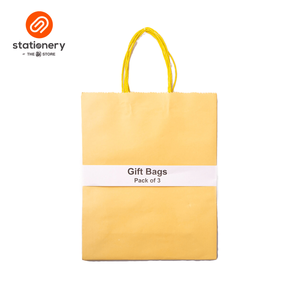 Plain Gift Bag 120 gsm Pack of 3 - Large (10 1/4x5x12 1/2")-zoom-4
