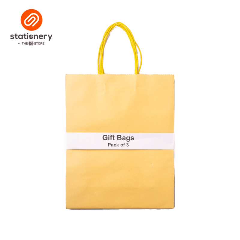 Plain Gift Bag 120 gsm Pack of 3 - Large (10 1/4x5x12 1/2")-zoom-