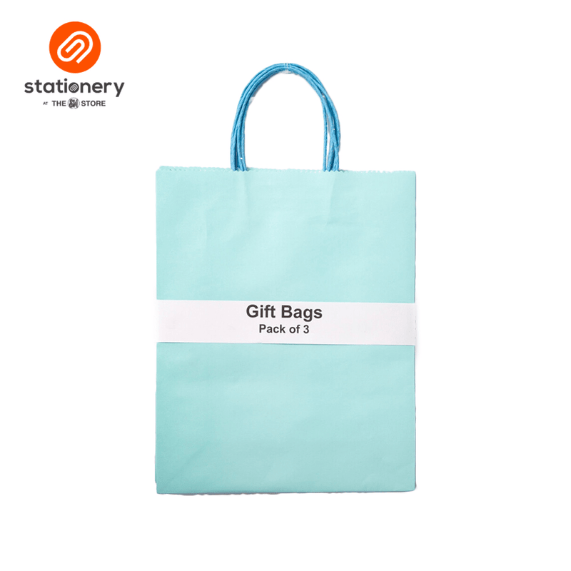 Plain Gift Bag 120 gsm Pack of 3 - Large (10 1/4x5x12 1/2")-zoom-