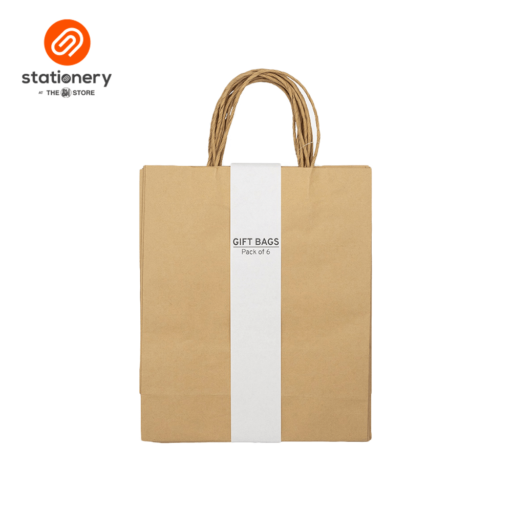 Kraft Bag 100gsm Pack of 6's - Medium-zoom-1