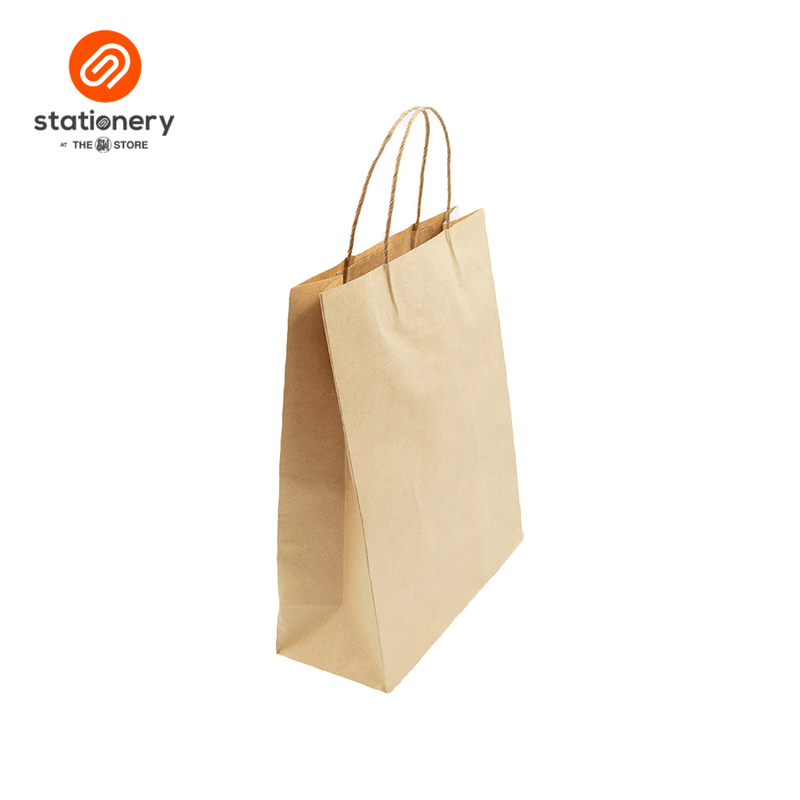 Kraft Bag 100gsm Pack of 6's - Medium-zoom-