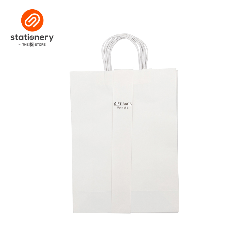Kraft Bag 100gsm Pack of 6's - Large-zoom-2